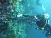 112 - Dive5-4 Warna Berwarna