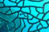 115 - Dive5-4 Warna Berwarna