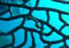 116 - Dive5-4 Warna Berwarna