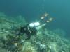 218 - Dive6-4 Nudi Rock