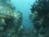 135 - Dive7-1 Four Kings
