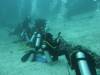 121 - Dive9-1 Manta Sandy