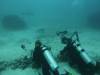 122 - Dive9-1 Manta Sandy