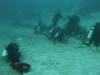 124 - Dive9-1 Manta Sandy