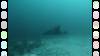 162 - Dive9-1 Manta Sandy