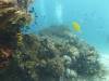 168 - Dive9-1 Manta Sandy
