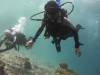 103 - Dive9-2 Arborek