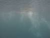 198 - Dive9-2 Arborek