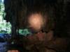 652 - Cave Snorkling