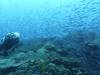 128 - Dive2-1 Old Tip Site