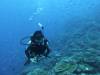 142 - Dive2-1 Old Tip Site