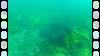 218 - 20140120 Rottnest Island Dive2