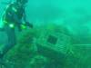 231 - 20140120 Rottnest Island Dive2