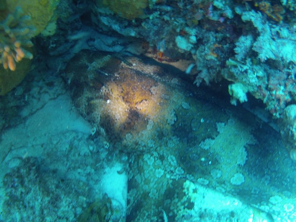 210 - 20140120 Rottnest Island Dive2