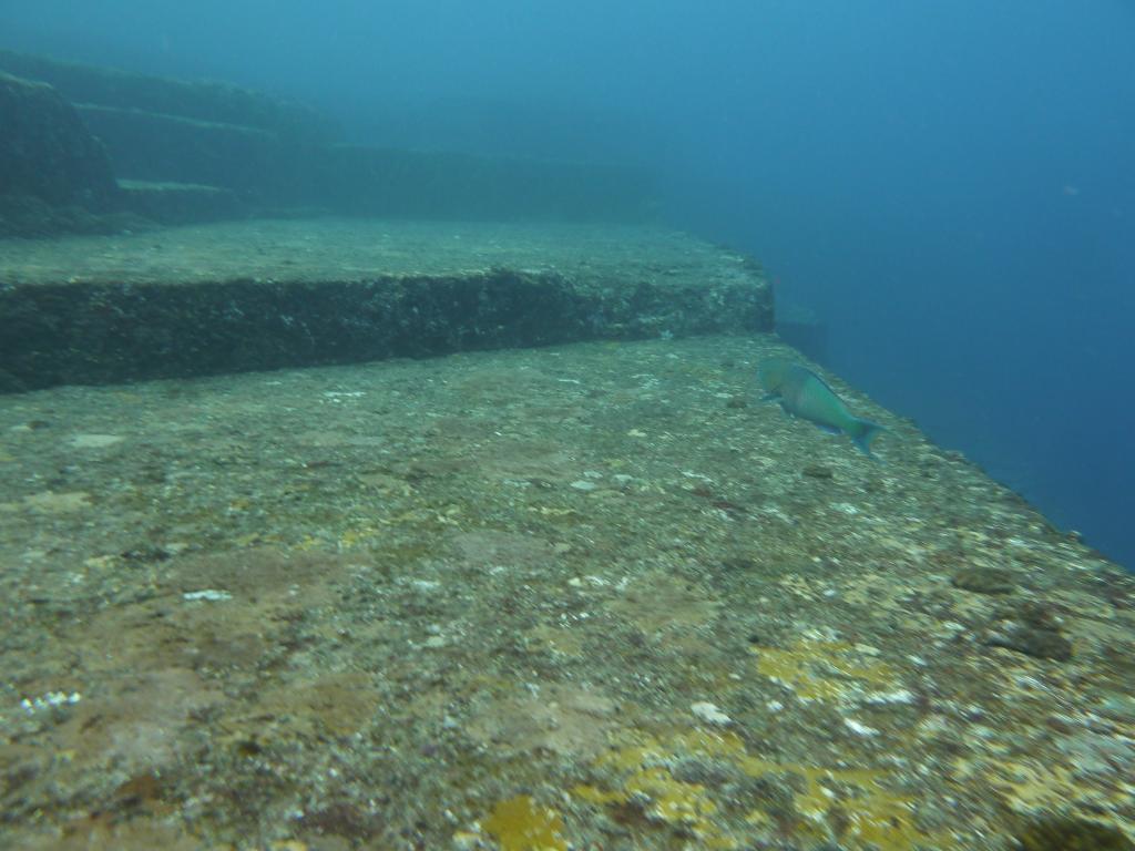 1219 - Yonaguni-Dive1-2