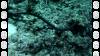 5200 - Kerama Dive2-2-5203 Kerama Dive2-2