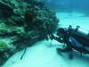 5200 - Kerama Dive2-2-5205 Kerama Dive2-2