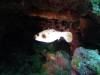 5300 - Kerama Dive2-3-5308 Kerama Dive2-3