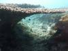 107 - Dive3-1 Nunukae Wall