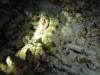108 - Dive3-4N Reong Wall