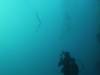 104 - Dive4-1 Snake Pit