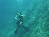 127 - Dive4-1 Snake Pit