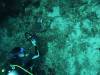 109 - Dive4-2 Sulfur Ridge