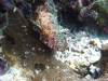 104 - Dive5-3 Terbang Selatan1