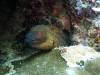 108 - Dive5-3 Terbang Selatan1