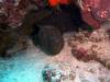 102 - Dive5-4 Terbang Selatan2