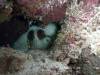 110 - Dive5-4 Terbang Selatan2