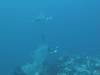 107 - Dive7-1 Red Cliff