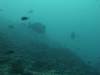 124 - Dive7-1 Red Cliff
