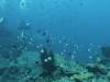 105 - Dive7-2 Force Ridge
