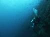 128 - Dive8-1 Pohon Miring