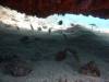 125 - Dive8-2 Batu Kapal