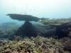 105 - DiveA-1 Lava Flow