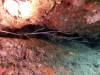 108 - DiveB-2 Pombo Island