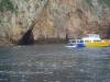 Boat-238 20150120 Poor Knights Island From Boat