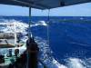 Boat-243 20150120 Poor Knights Island From Boat