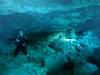 Dive1-2 Cenote Chinki Ha-112 Dive1-2 Cenote Chinki Ha