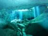Dive1-2 Cenote Chinki Ha-114 Dive1-2 Cenote Chinki Ha