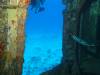 Dive2-3 Wreck Dive-126 Dive2-3 Wreck Dive