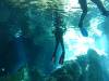 101 - Dive1-1 Cenote Chinki Ha