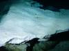 104 - Dive1-1 Cenote Chinki Ha