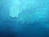 107 - Dive1-1 Cenote Chinki Ha
