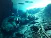 114 - Dive1-1 Cenote Chinki Ha
