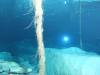 125 - Dive1-1 Cenote Chinki Ha