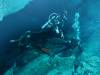 130 - Dive1-1 Cenote Chinki Ha