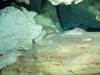 101 - Dive1-2 Cenote Chinki Ha